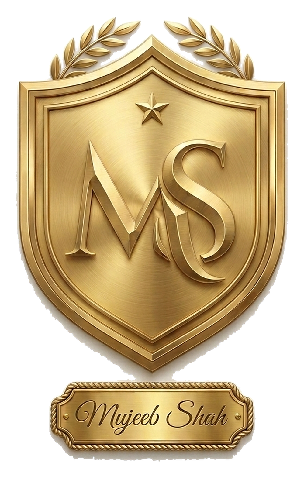 mujeeb shah logo transparent web clean 1.png
